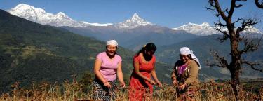Annapurna Region Treks