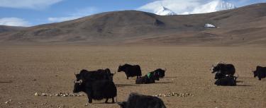 Nepal Bhutan Tibet Highlight Tour