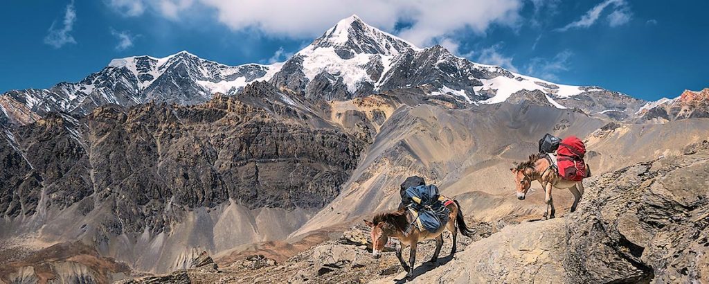 How To Plan Your Trek To The Himalayas In Nepal? 1 Trekking In Nepal