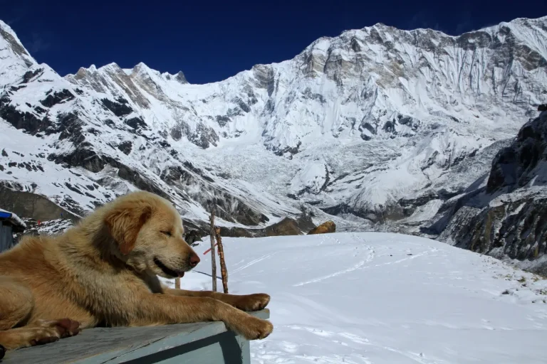 Annapurna Base Camp